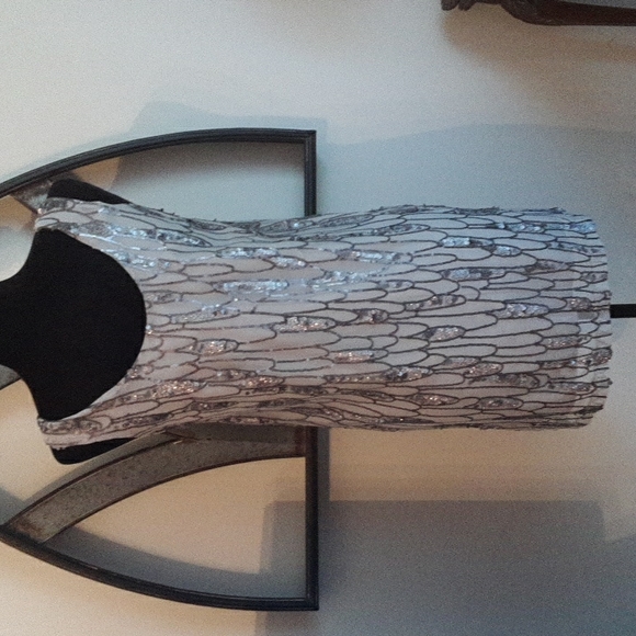 BB DAKOTA Roselyn Silver Sequin Sleeveless Mini Shift Dress - Picture 3 of 15